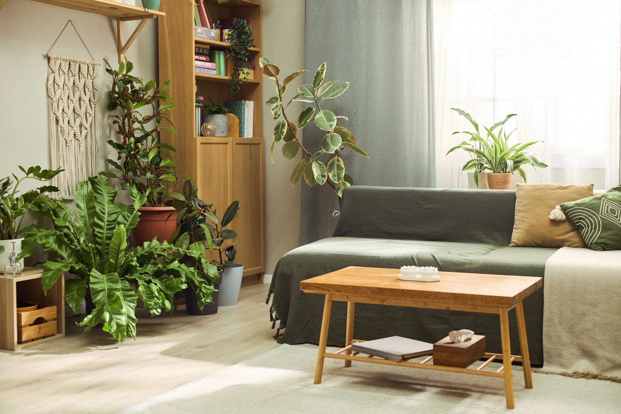 Peaceful wellness studio with calming natural decor